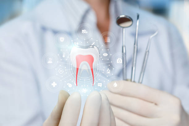 Trusted The Pinery, CO  Holistic Dental Services Experts
